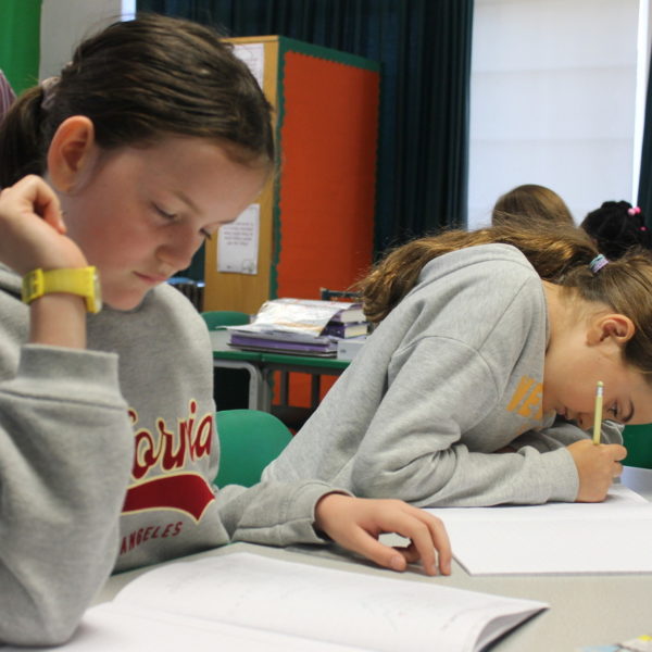 Dog Kennel Hill Primary School